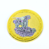 Custom Engraved Zinc Alloy Team Achievement Challenge Coins for Corporate Events & Brand Souvenirs